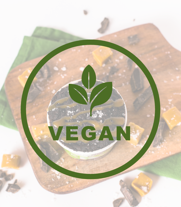 The Benefits of a Vegan Diet…and How molly&you Can Help!